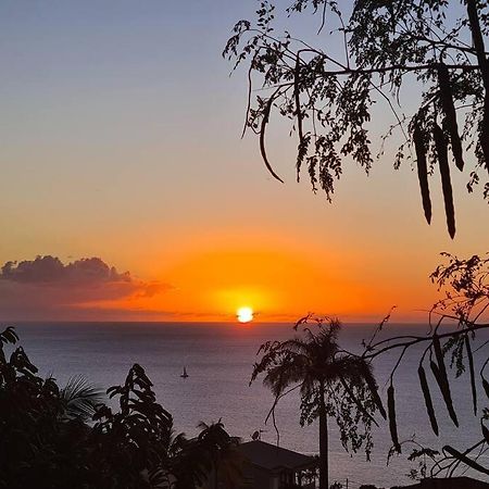 Ti Sucrier Jaune - Douceur Caraibe Vue Mer Le Carbet Dış mekan fotoğraf