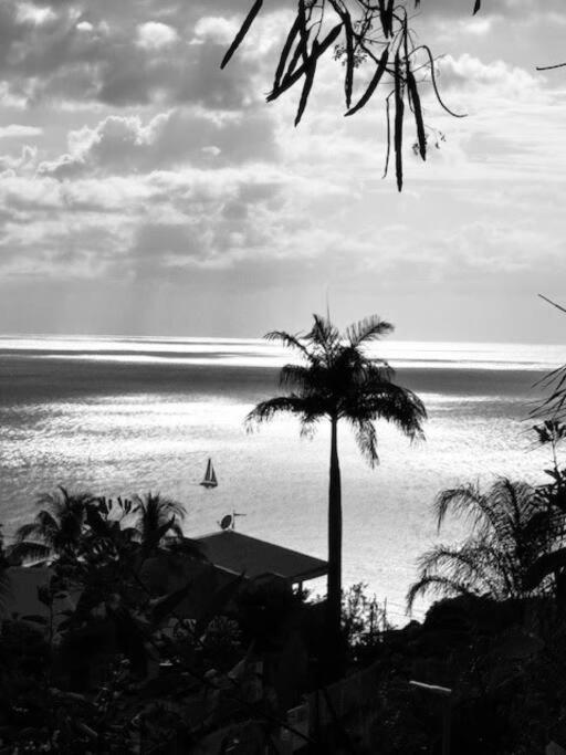 Ti Sucrier Jaune - Douceur Caraibe Vue Mer Le Carbet Dış mekan fotoğraf