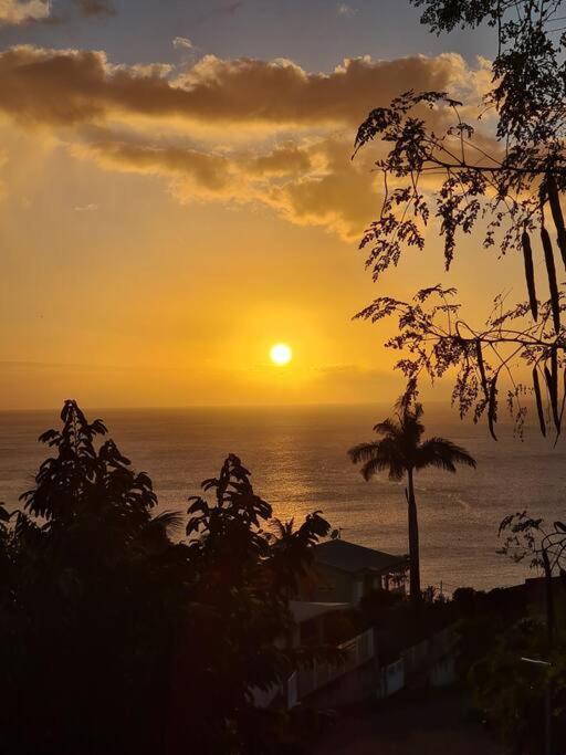 Ti Sucrier Jaune - Douceur Caraibe Vue Mer Le Carbet Dış mekan fotoğraf