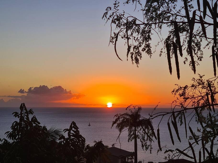 Ti Sucrier Jaune - Douceur Caraibe Vue Mer Le Carbet Dış mekan fotoğraf