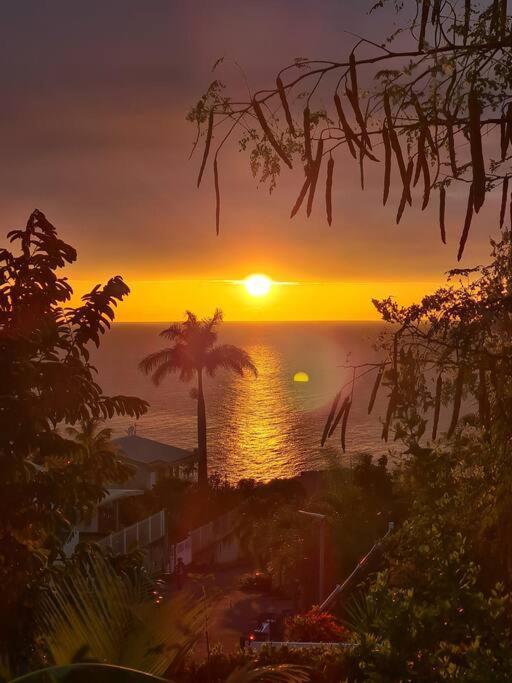 Ti Sucrier Jaune - Douceur Caraibe Vue Mer Le Carbet Dış mekan fotoğraf